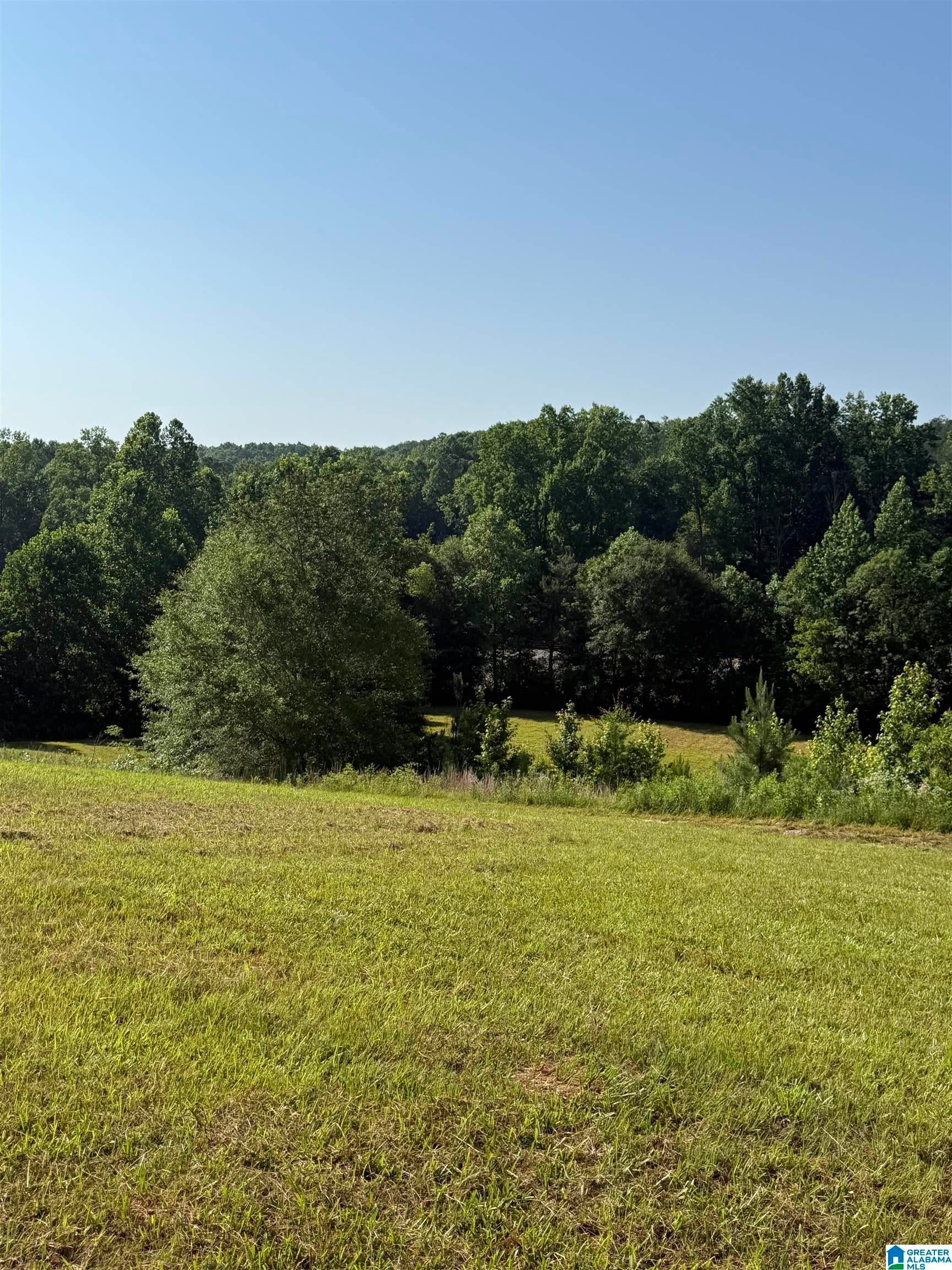0 COUNTY ROAD 450 0