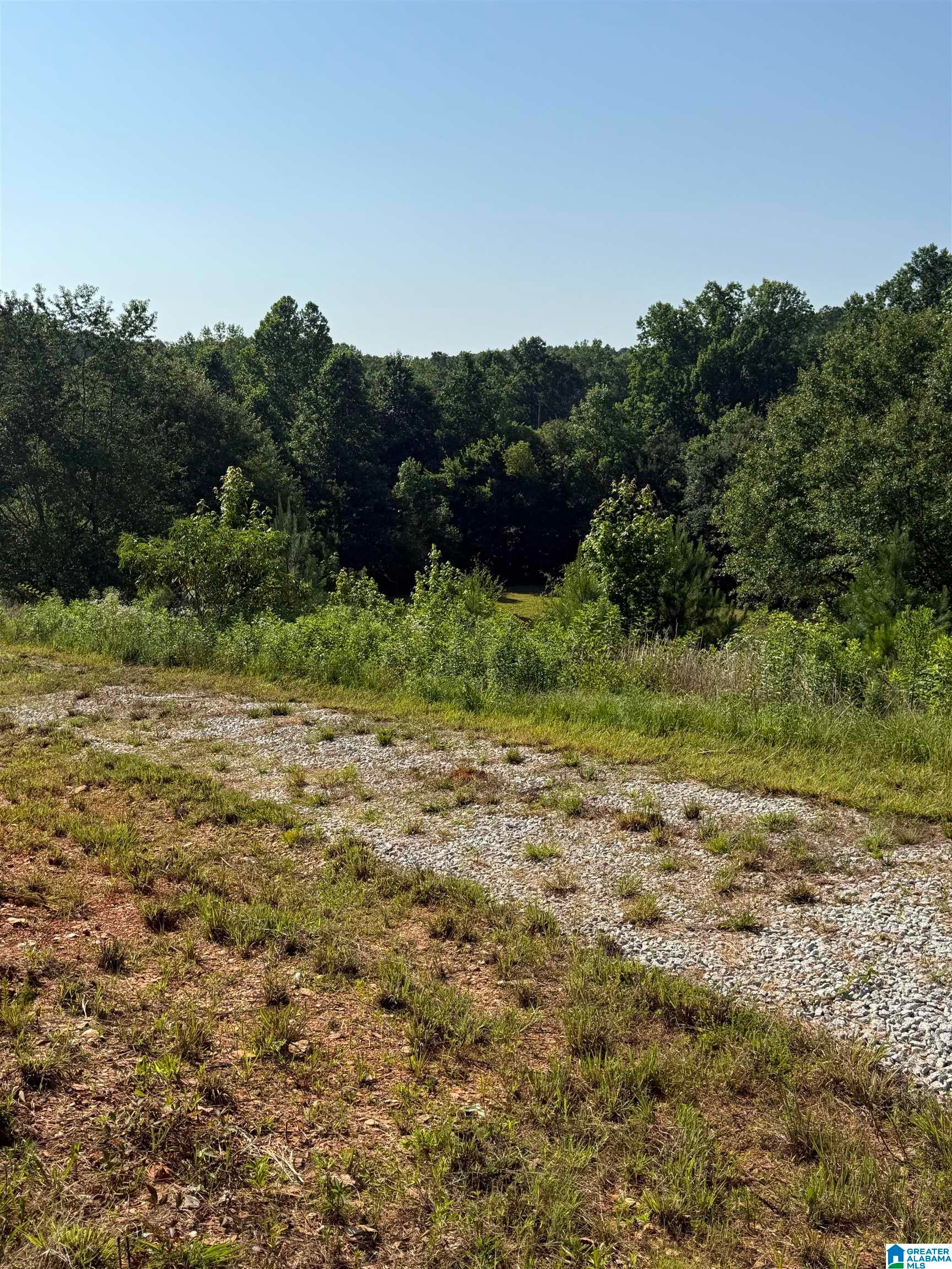 0 COUNTY ROAD 450 0