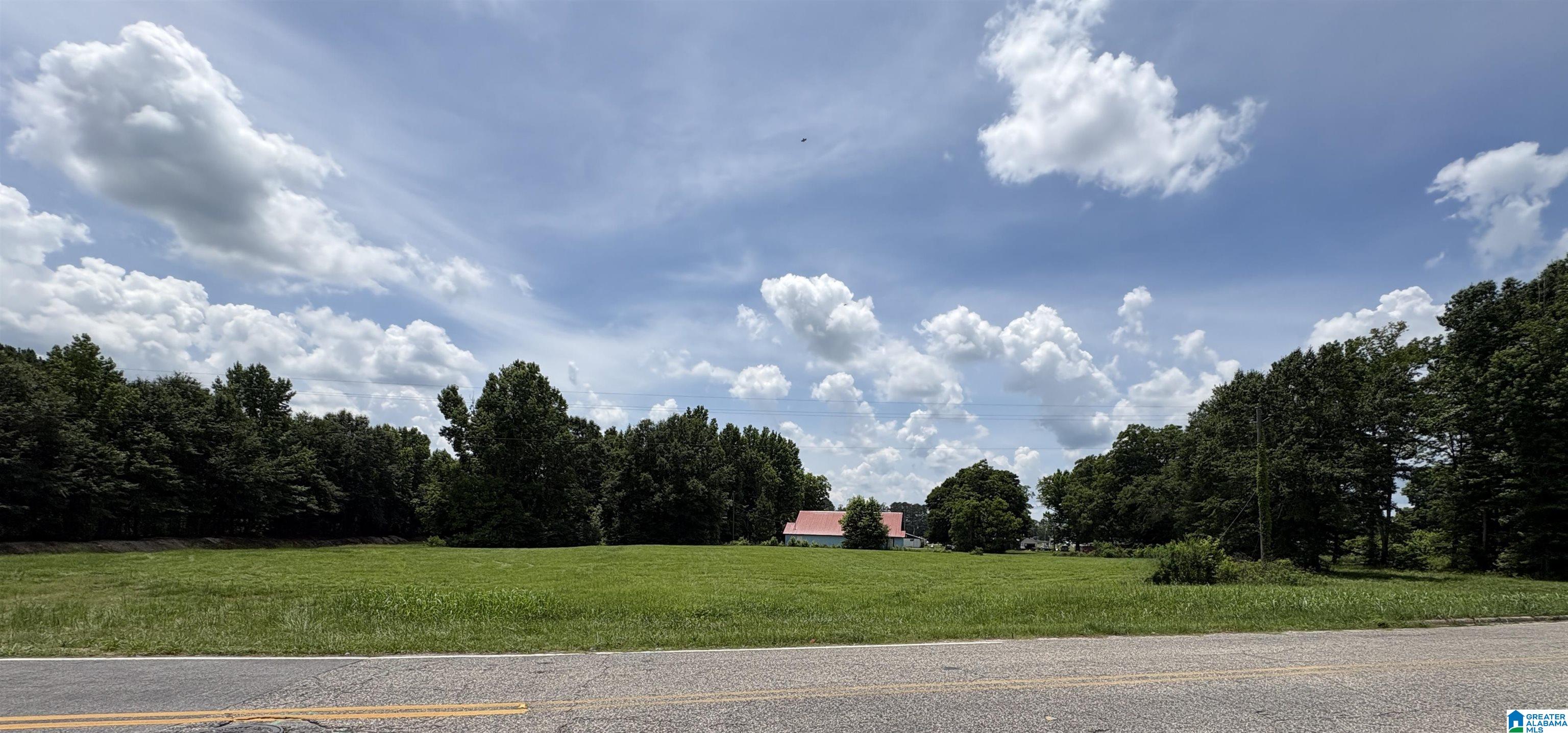 Photo 1 of 3 — 441 MARTIN LUTHER KING DRIVE 0, CLANTON, AL 35045