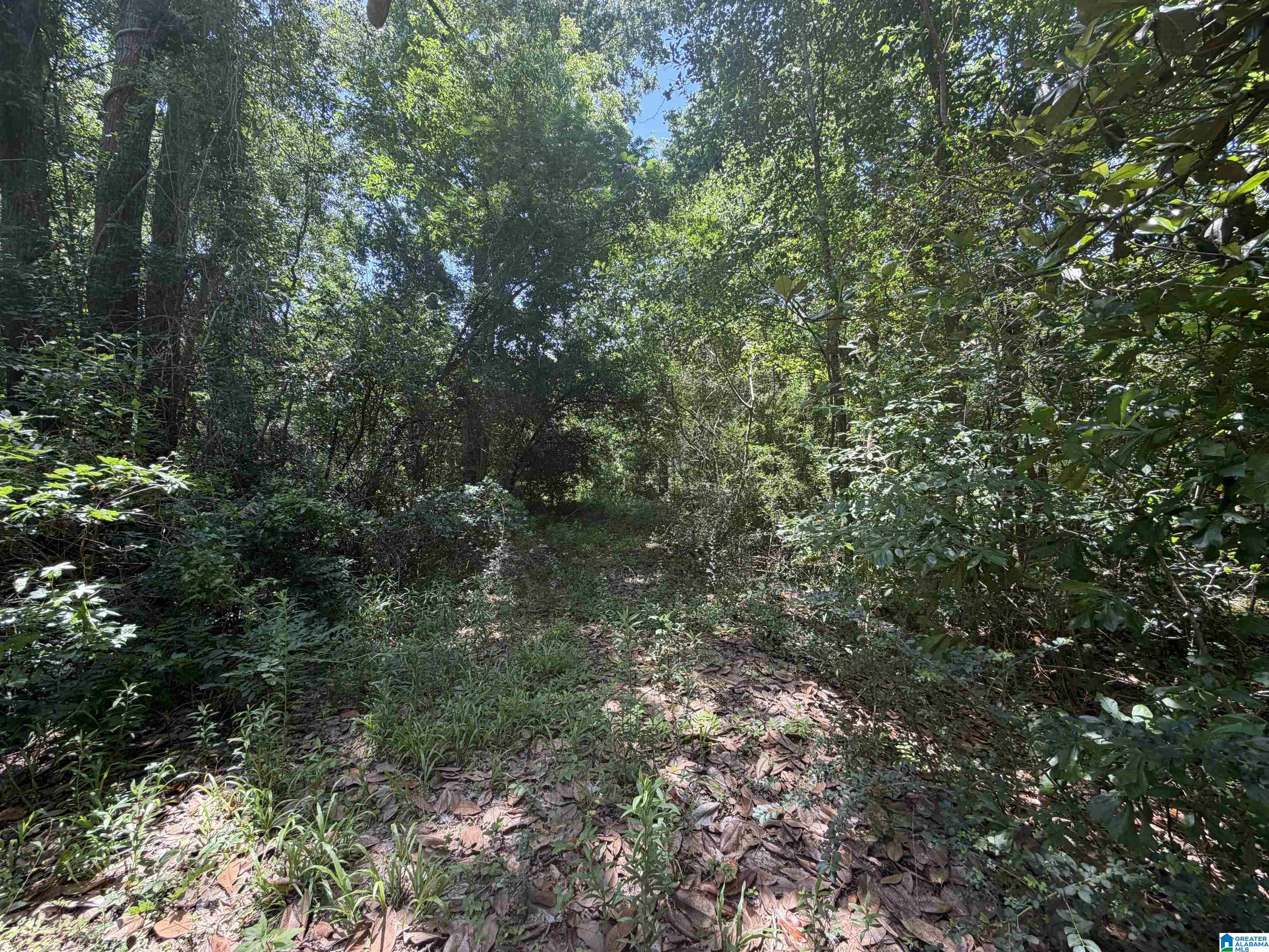 21123 LOOP ROAD 1 - Photo 3