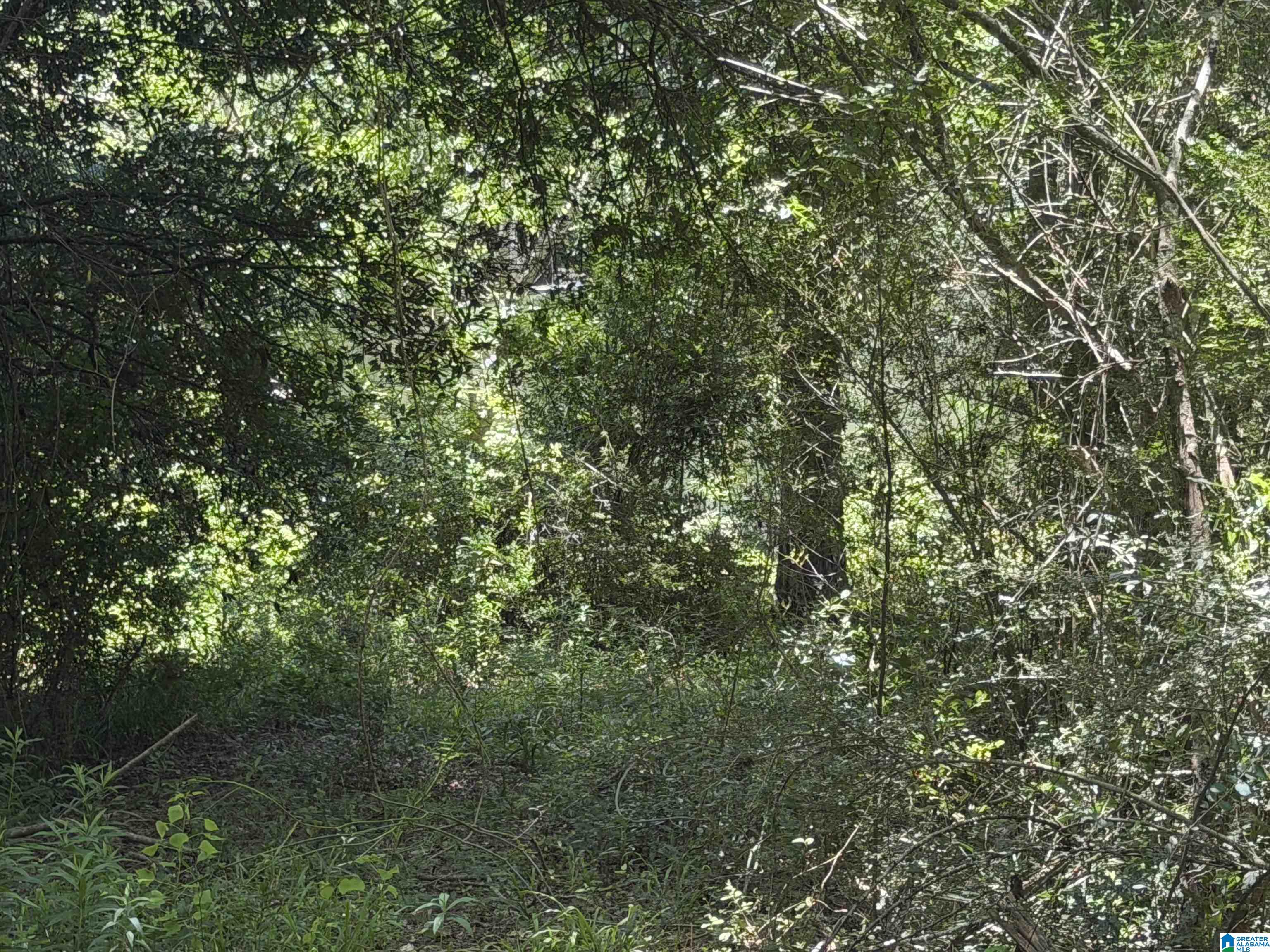 21123 LOOP ROAD 1 - Photo 2