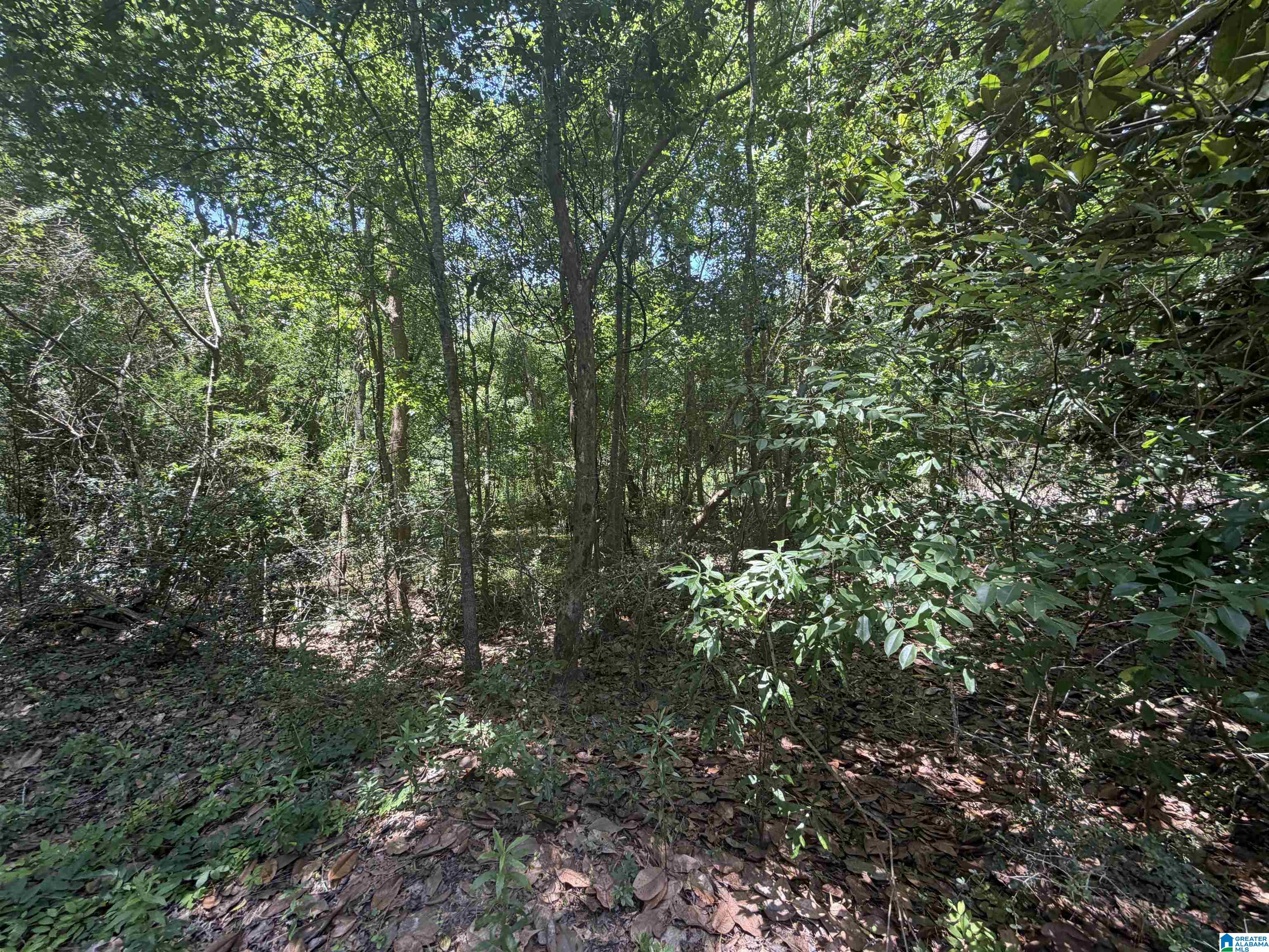 21123 LOOP ROAD 1 - Photo 4