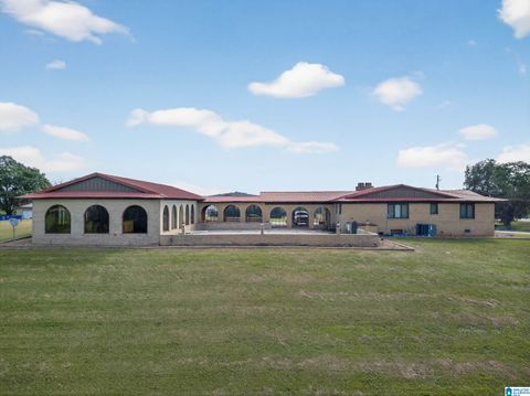 221 JOHN RAY LANE EASTABOGA AL 36260