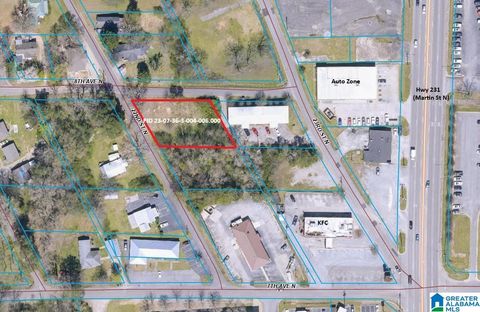 714 22ND STREET N 9 & 10 PELL CITY AL 35125