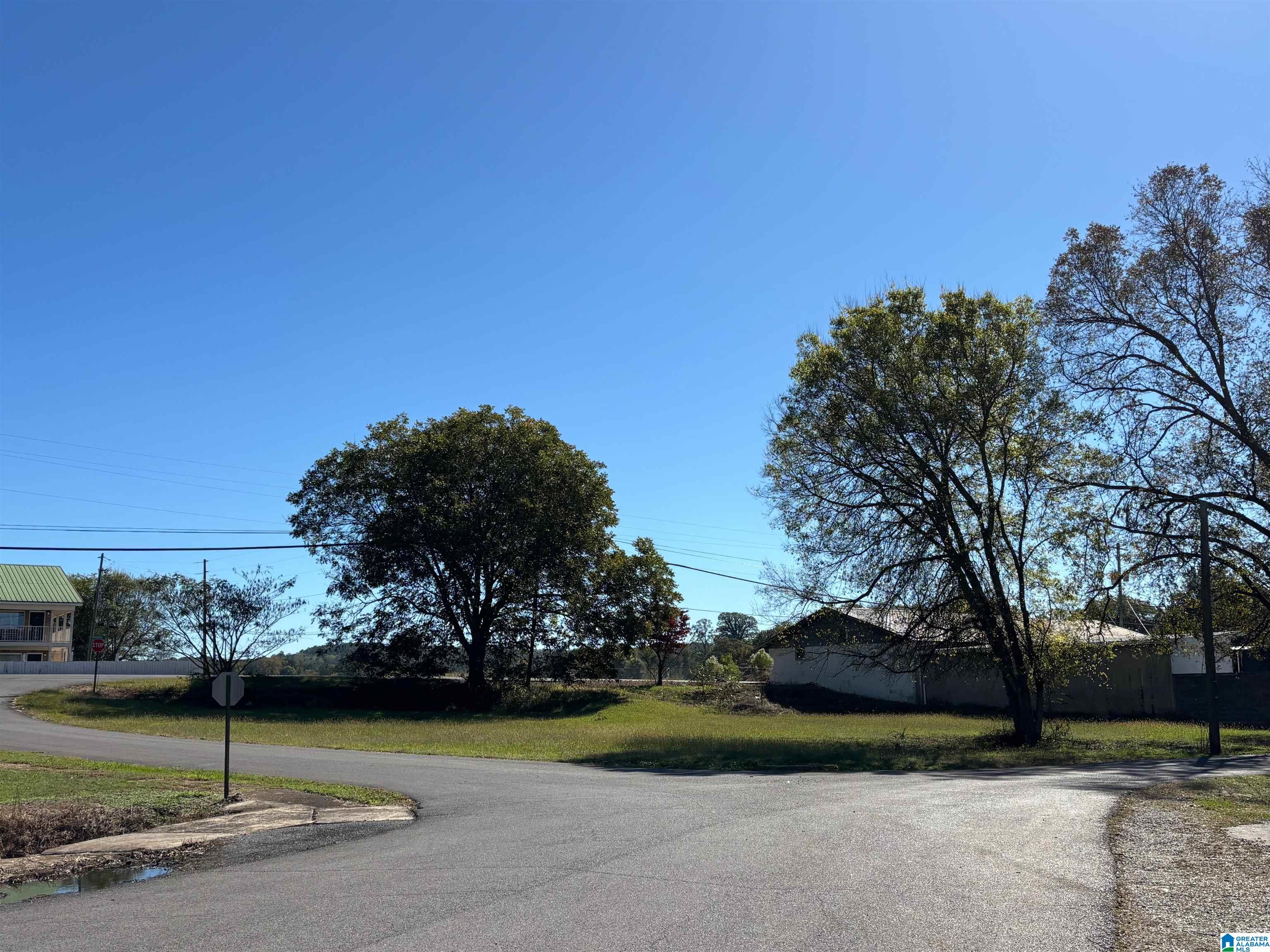 Photo 1 of 9 — HIGH SCHOOL STREET .20 acres Unit .20 acres, ONEONTA, AL 35121
