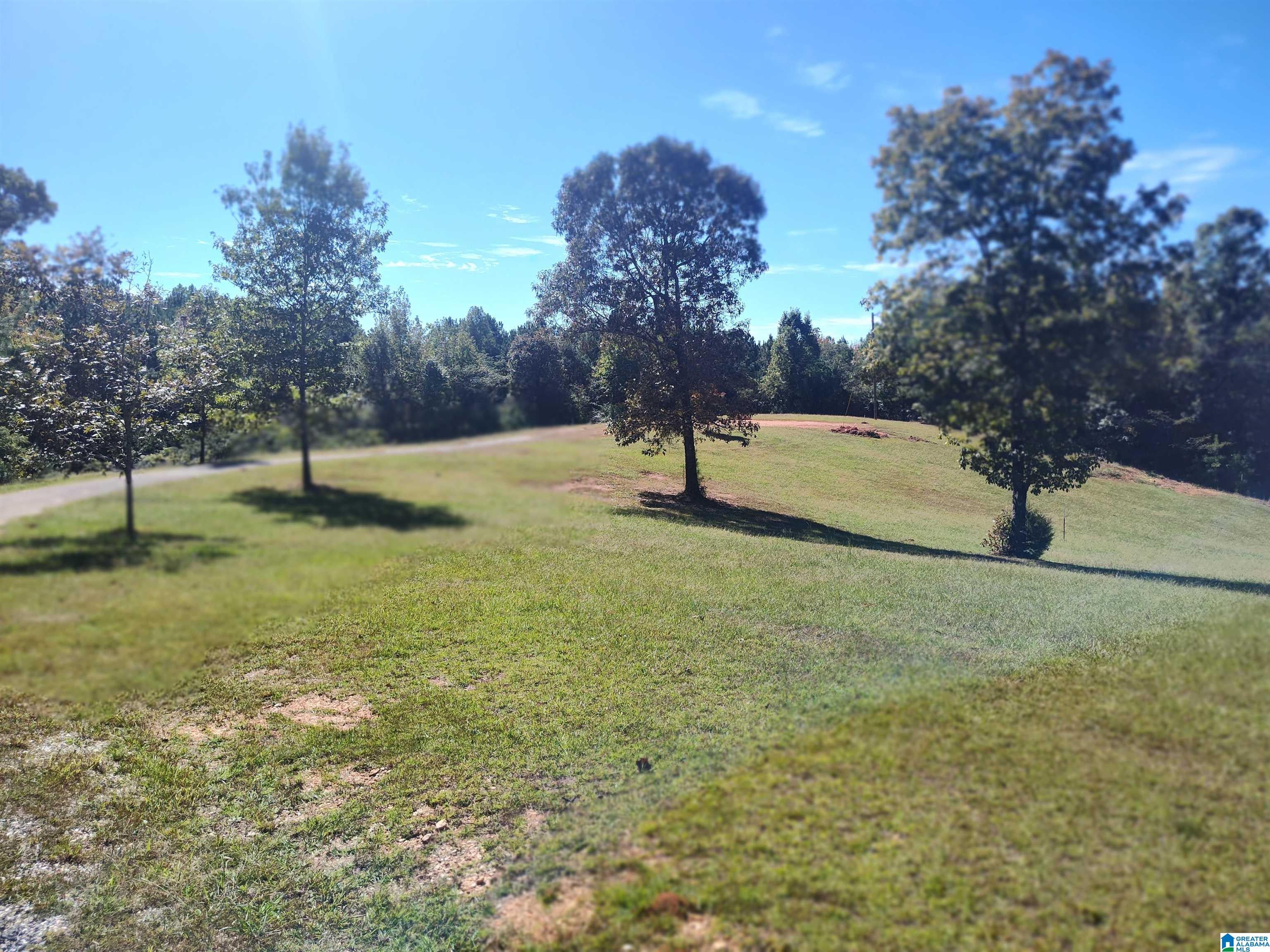 215 NEW COUNTY LINE ROAD 1