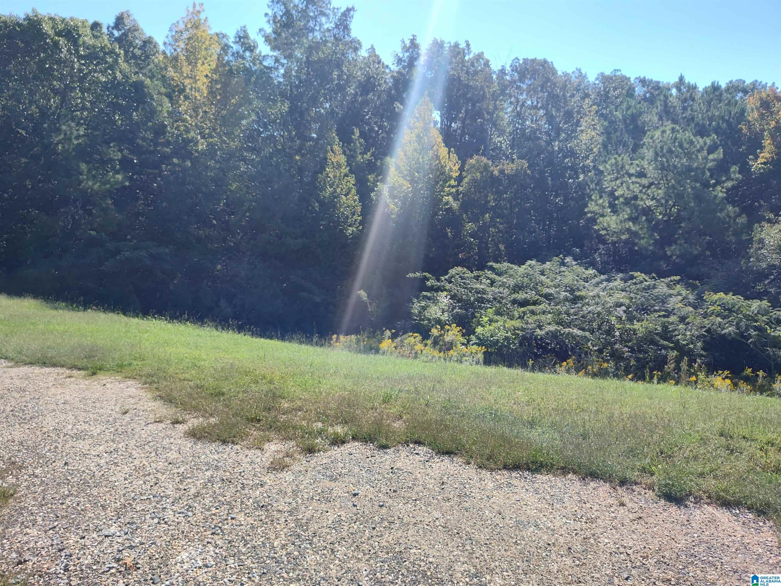 215 NEW COUNTY LINE ROAD 1