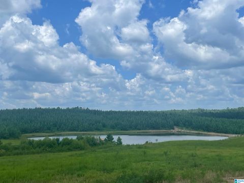 3679 CHELSEA ROAD 1 COLUMBIANA AL 35051