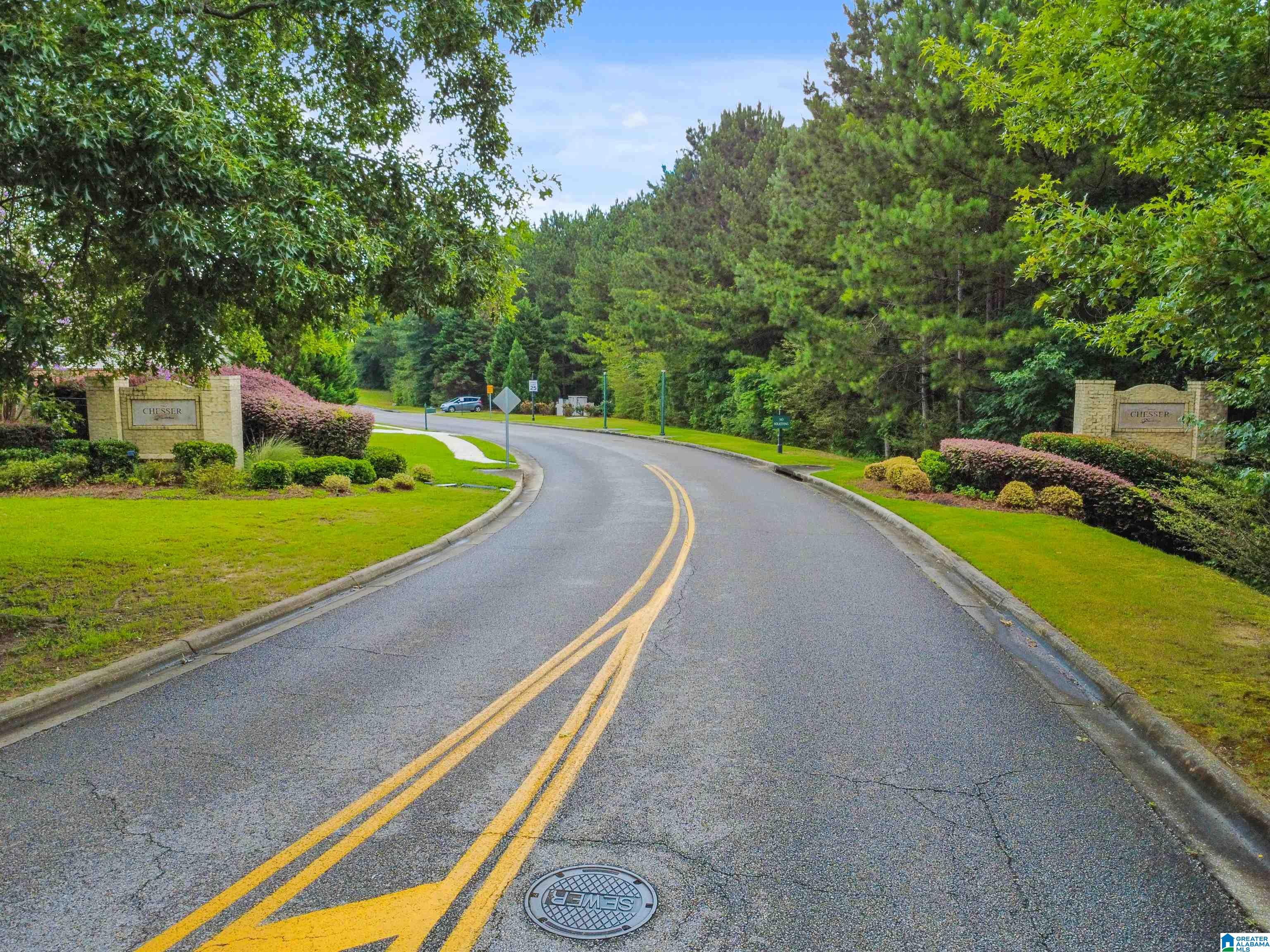 201 CHESSER PLANTATION LANE