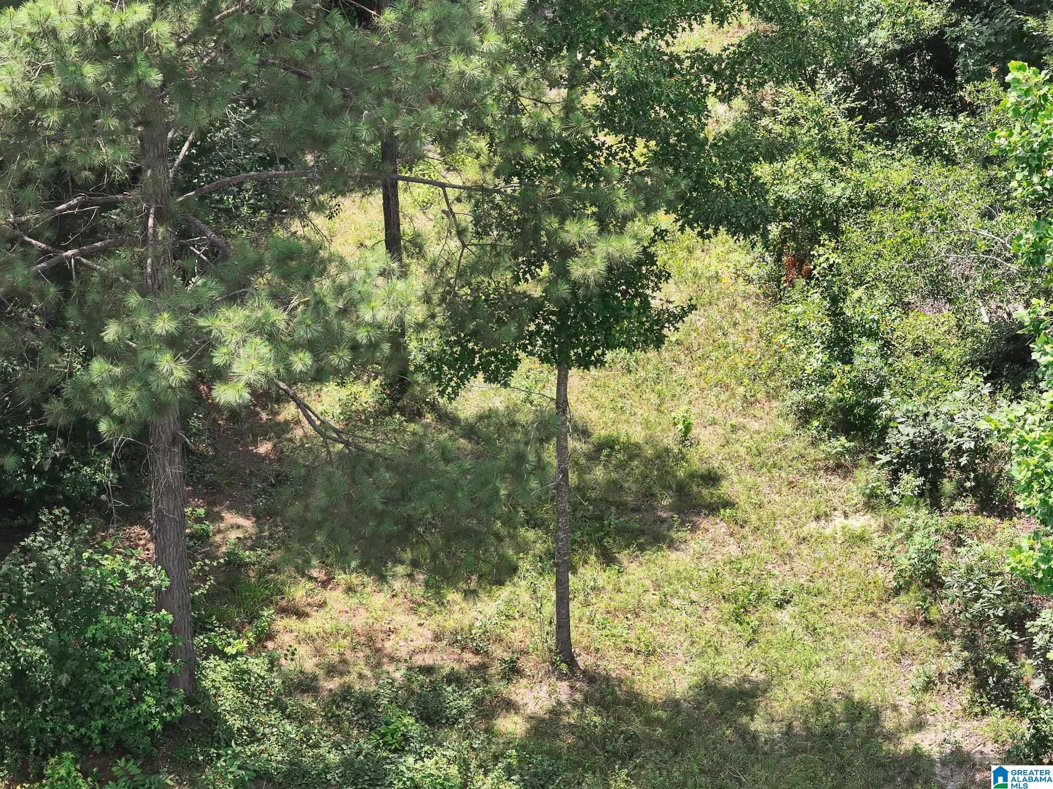 0 HIGHWAY 82 1 - Photo 4
