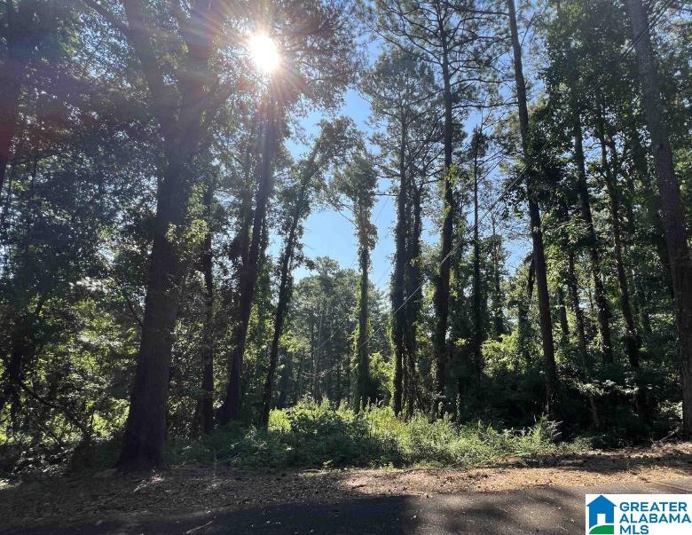 Photo 1 of 1 — 5043 RAILROAD AVENUE 2, IRONDALE, AL 35210