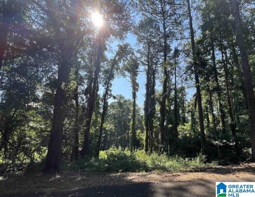 5043 RAILROAD AVE # 2, IRONDALE, AL 35210 - Image 7a744c19d22d7156c7b03ffa4f0a75f0/4019454150