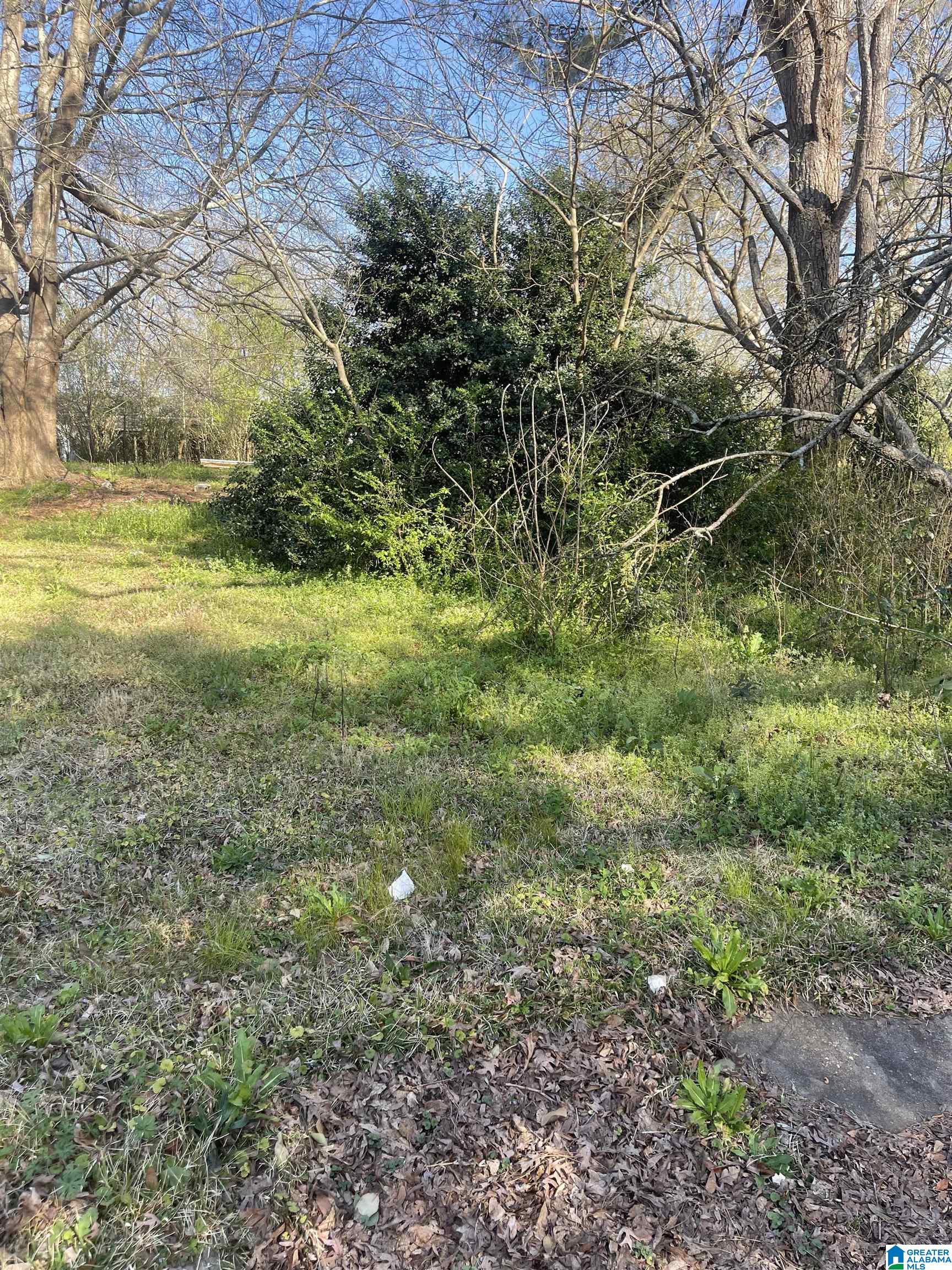 Photo 1 of 5 — 0 WEST AVENUE 1, ROANOKE, AL 36274