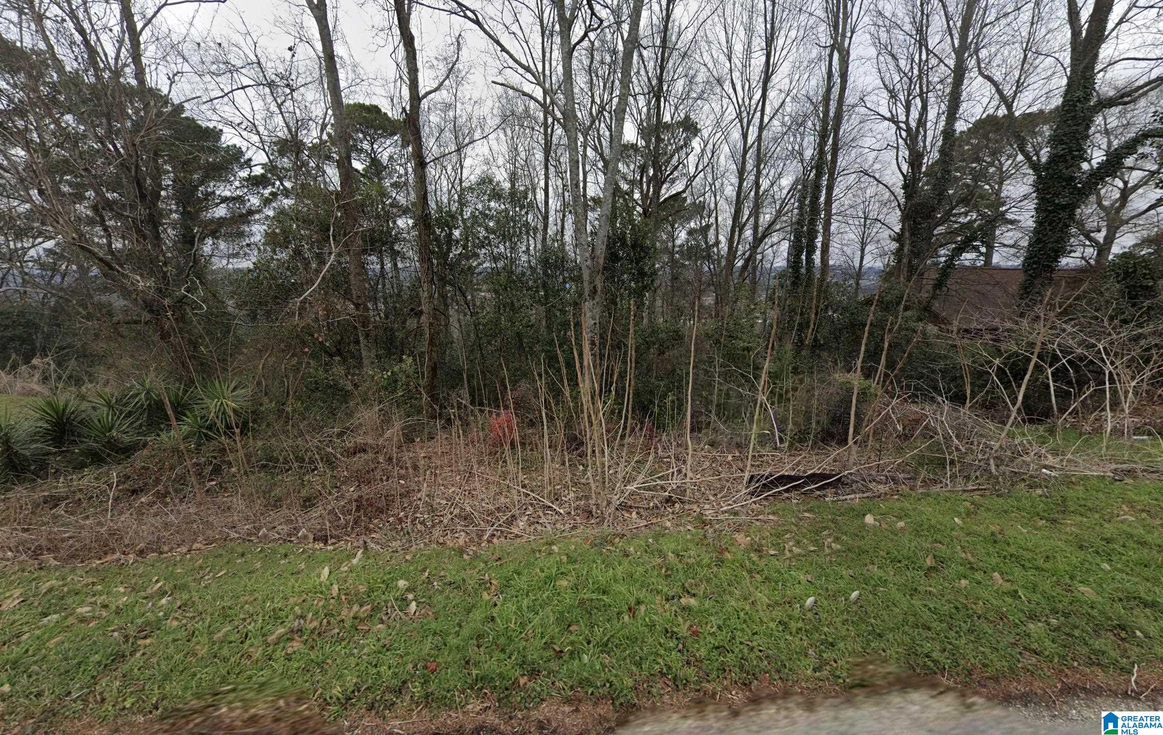 1424 SHADES CREST ROAD 0