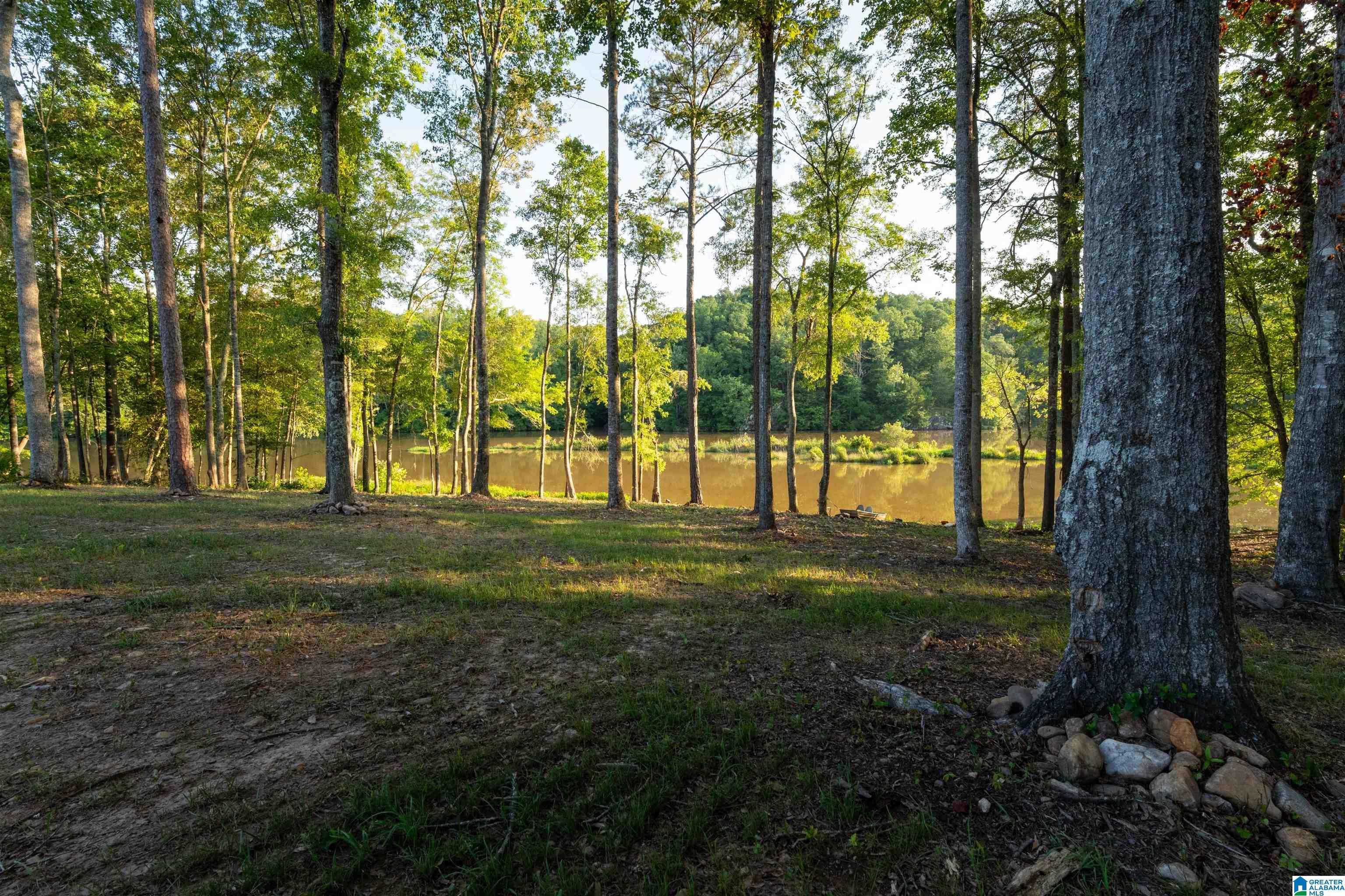 396 COUNTY ROAD 499 6