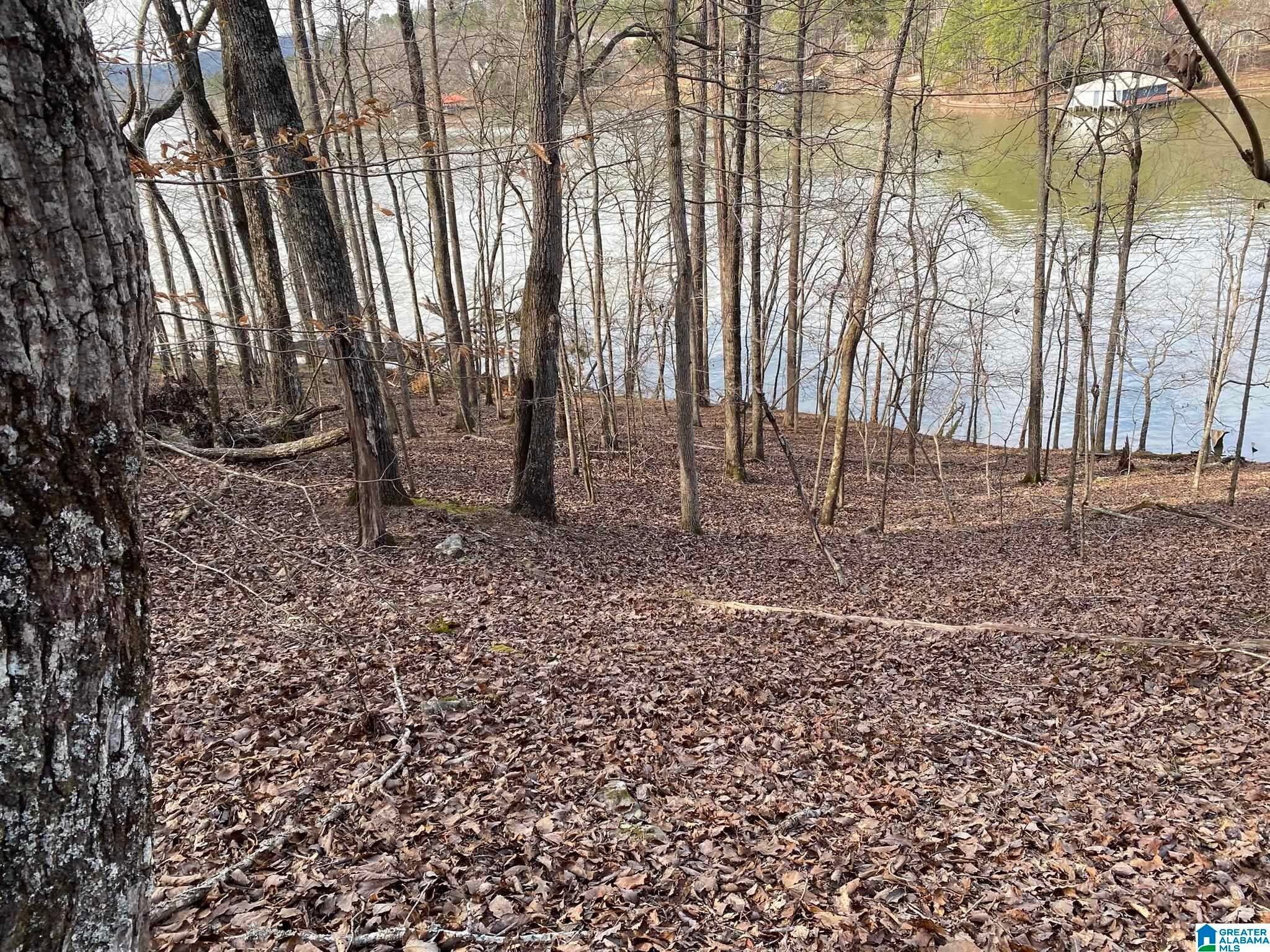MOHAWK CLIFF ROAD 5