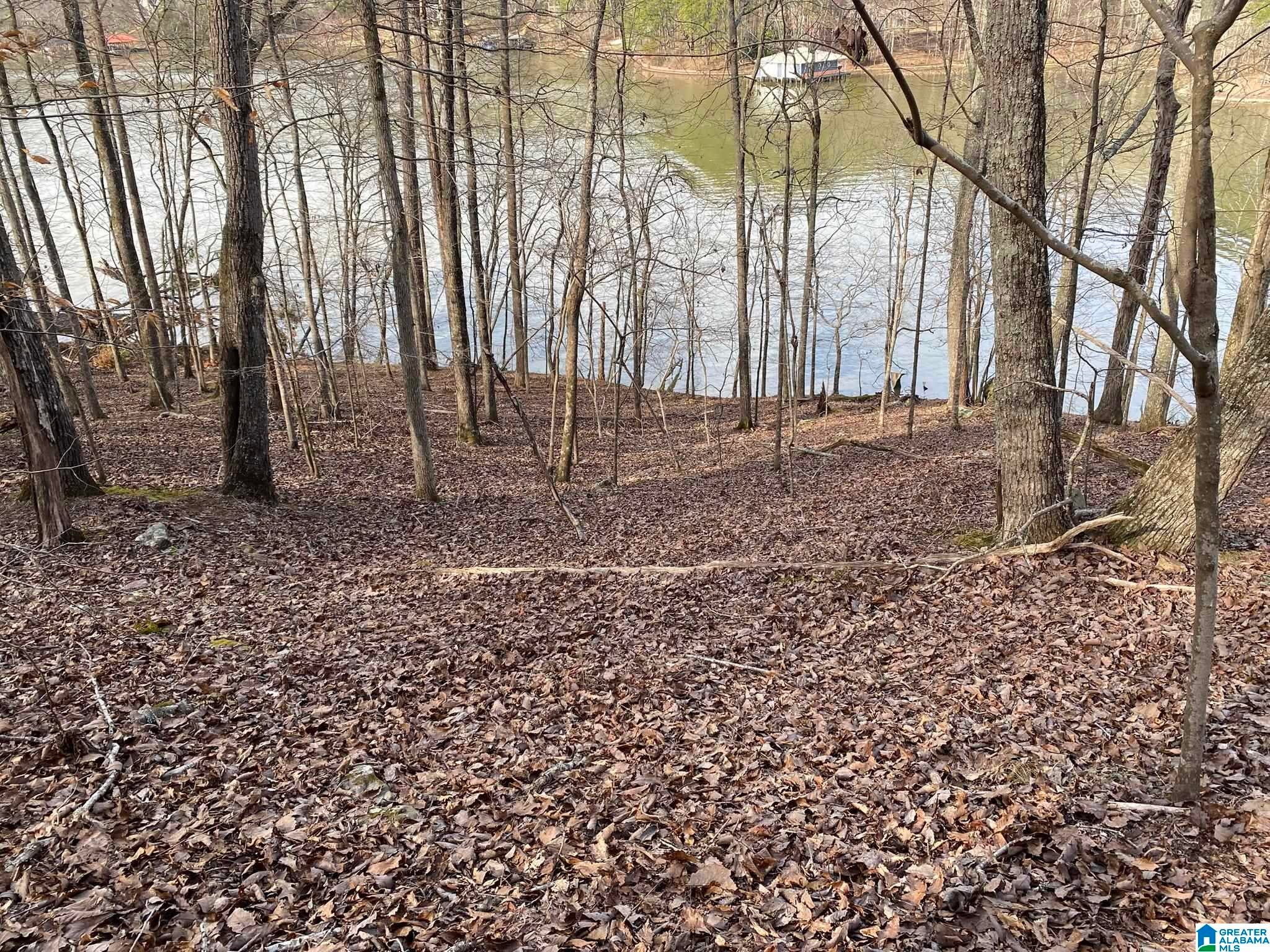 MOHAWK CLIFF ROAD 5