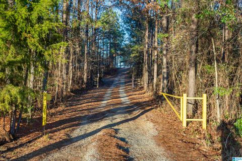 2711 MONTGOMERY HIGHWAY 1 CENTREVILLE AL 35042