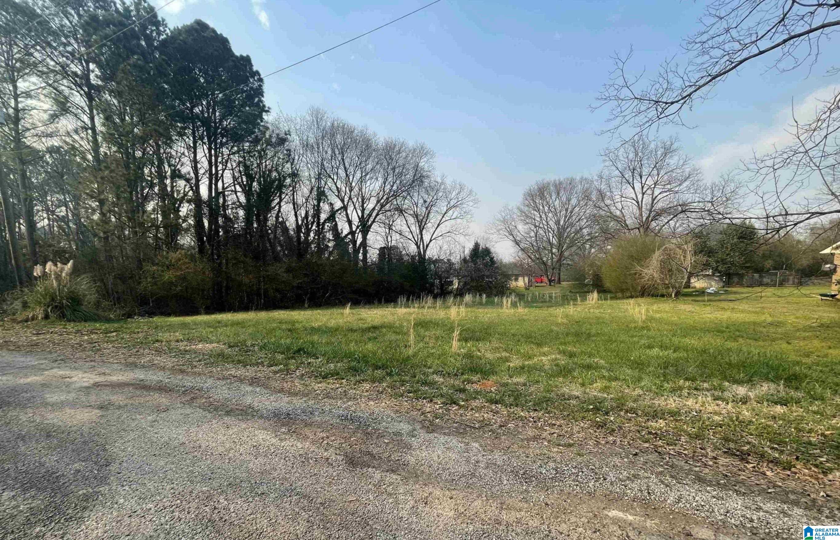 Photo 1 of 3 — 61 GAULDIN AVENUE 1, LINCOLN, AL 35096