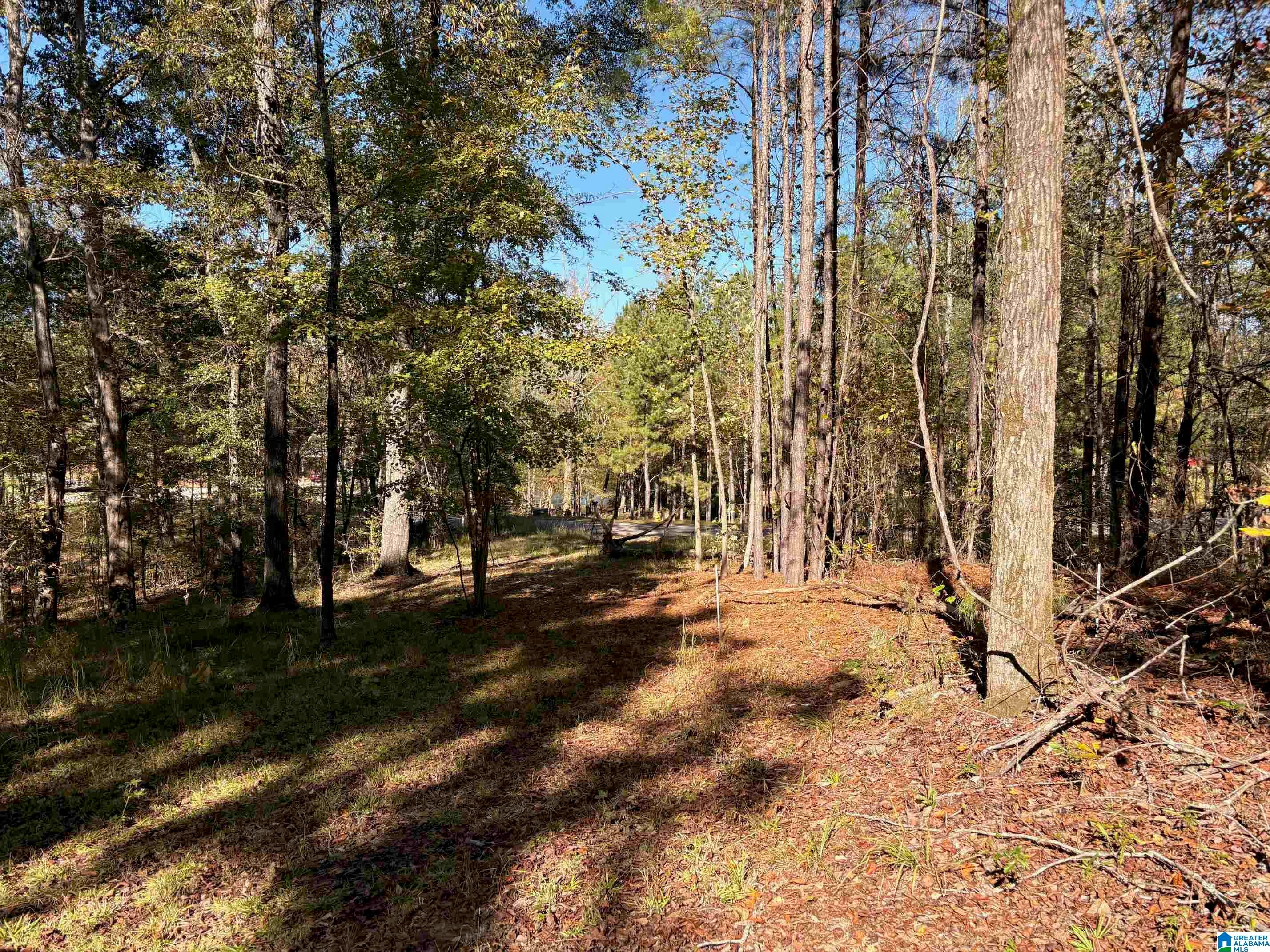 4584 CABIN ROAD 9