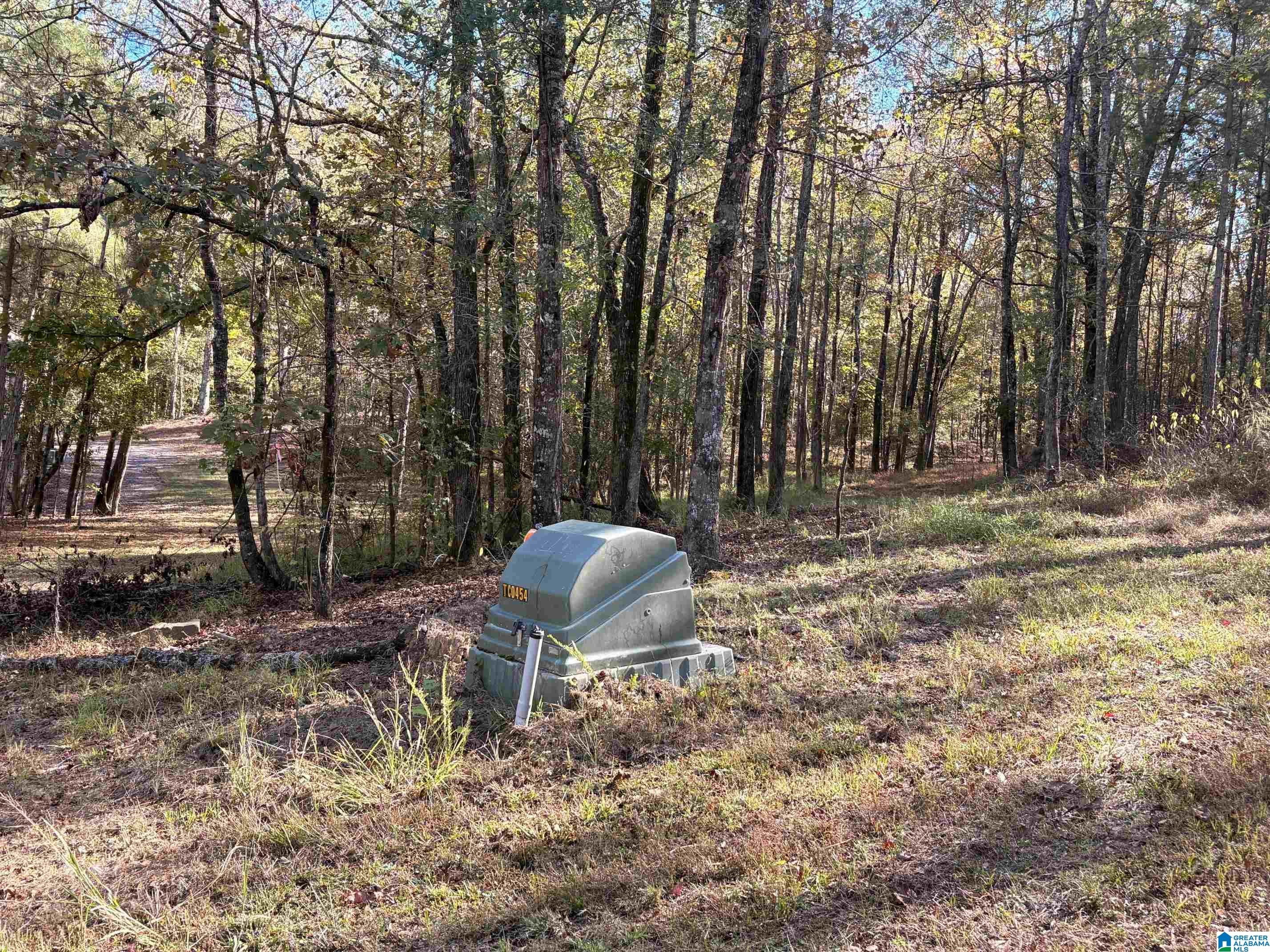 4584 CABIN ROAD 9