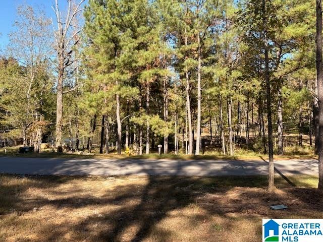 4584 CABIN ROAD 9