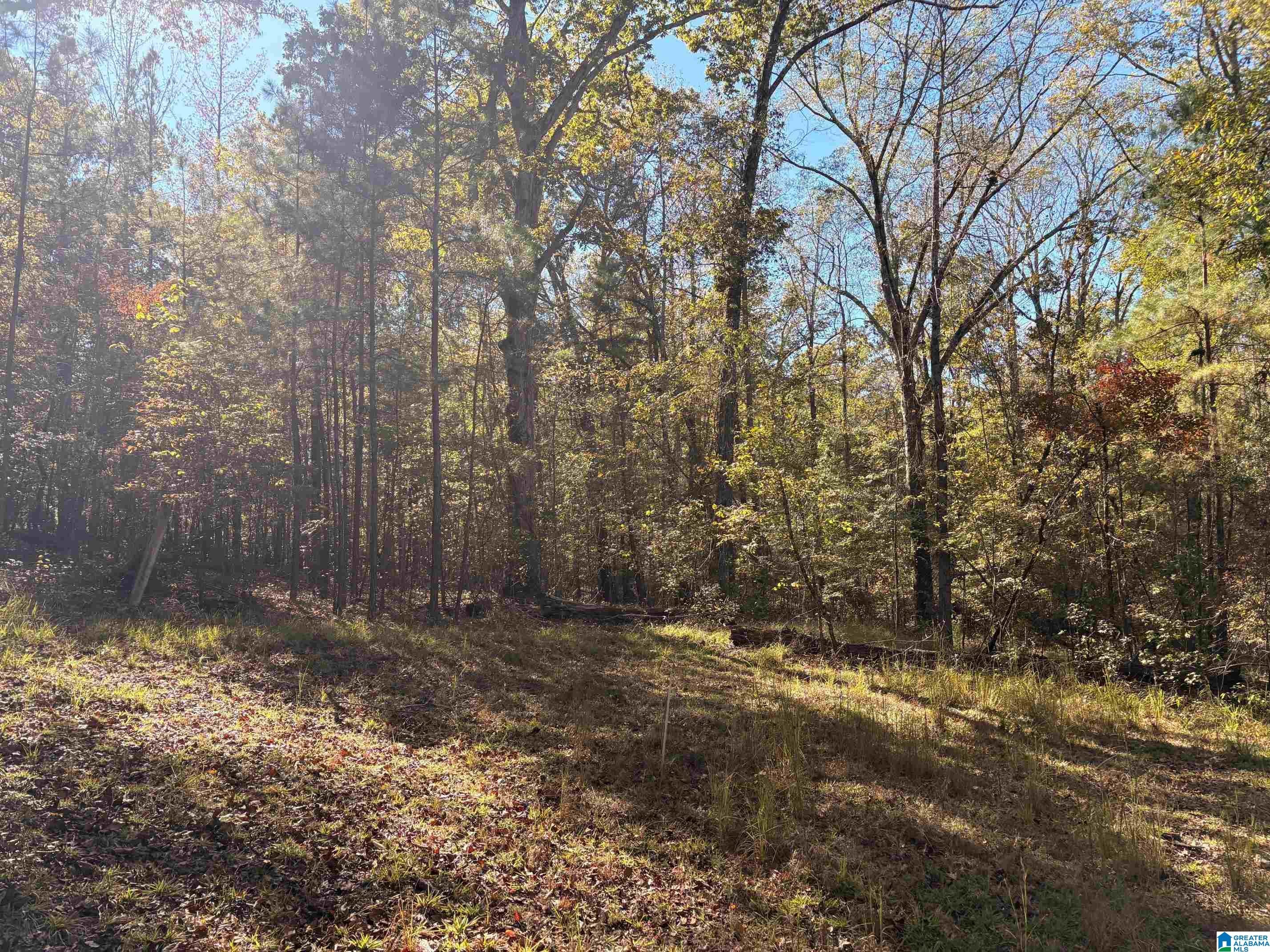 4584 CABIN ROAD 9