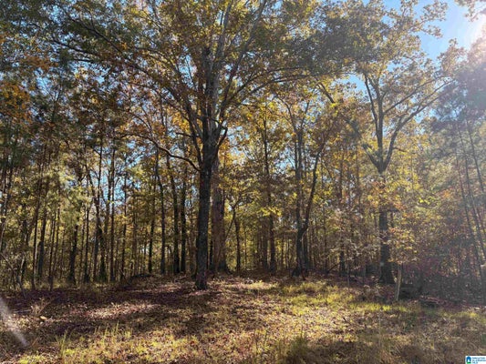 4584 CABIN RD # 9, BESSEMER, AL 35022 - Image 7c2f42d400b0b3aa5bd6c93e9df7149a/818942359