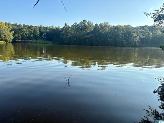 141 OLD US HWY 431, WEDOWEE, AL 36278 - Image 7c3e2ff4cf43f8965f520823e9faffda/3708164372