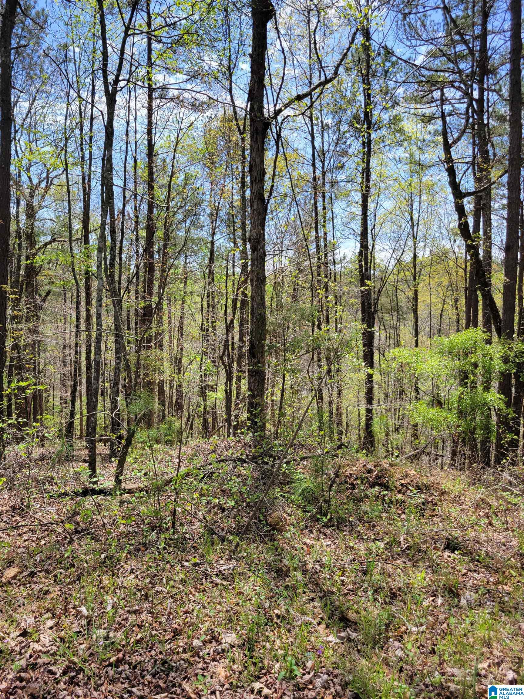 LAKEVIEW WAY 14