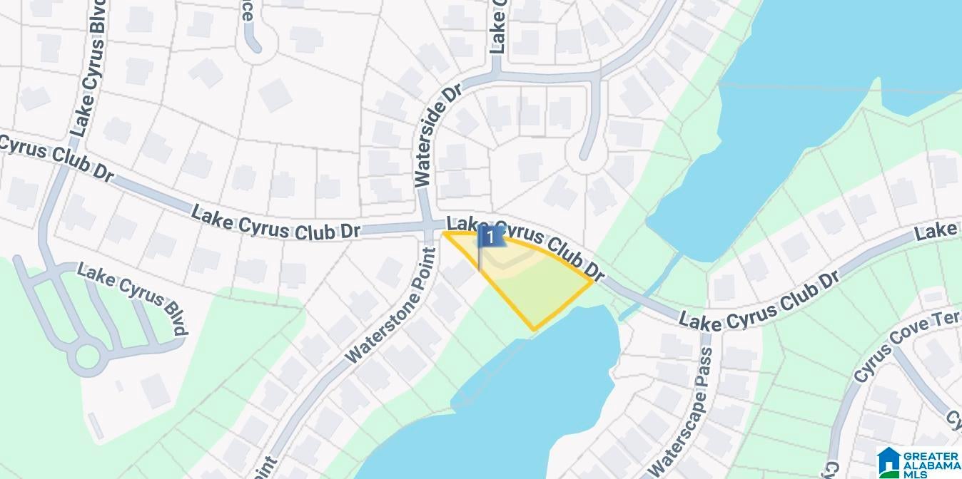 1604 LAKE CYRUS CLUB DRIVE 1