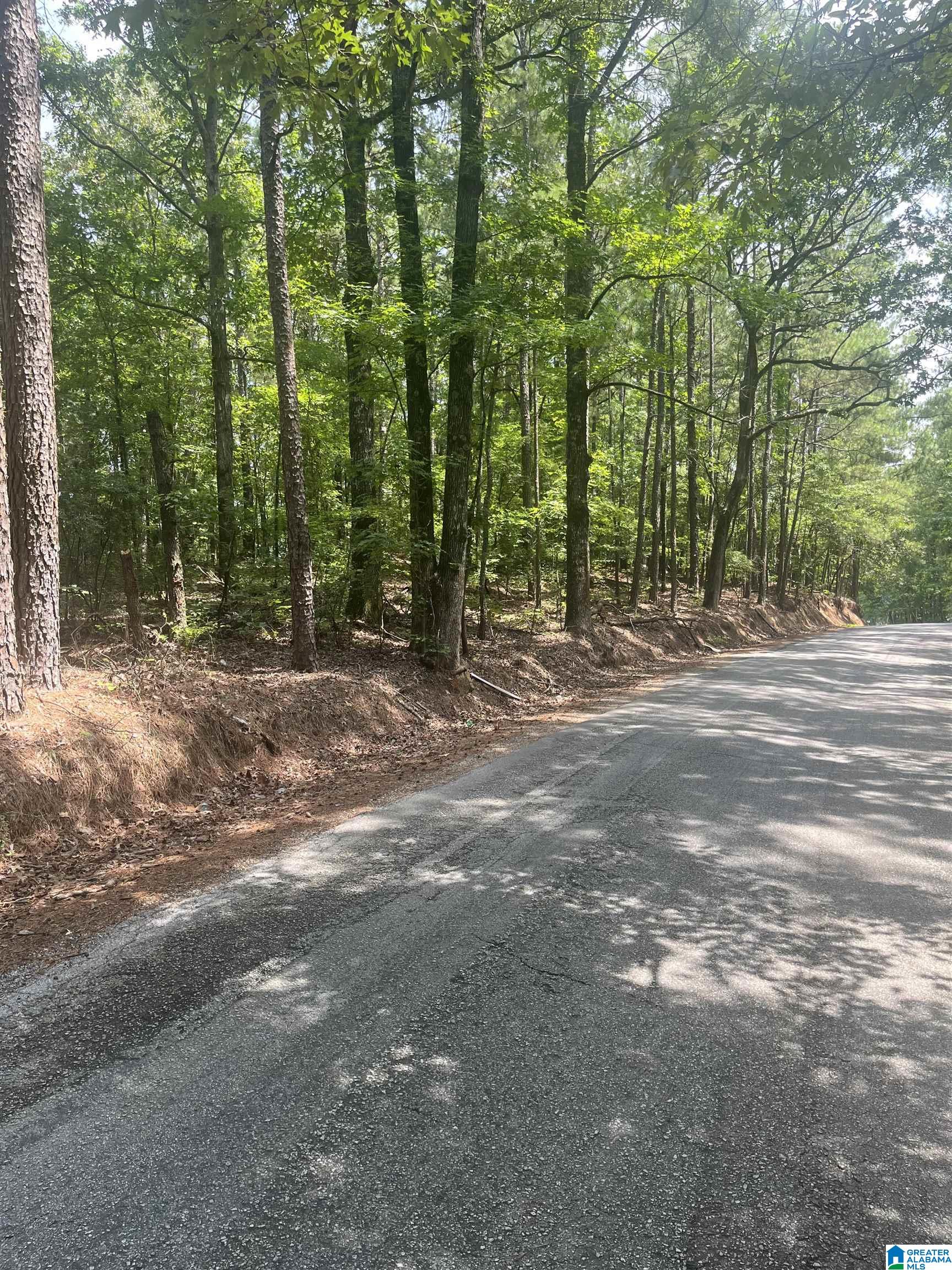 0 OLD WOODSTOCK ROAD 0