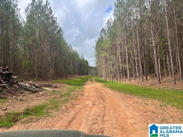 WATERSHED ROAD 46 Ac