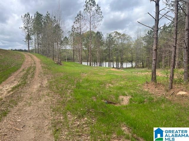 WATERSHED ROAD 46 Ac