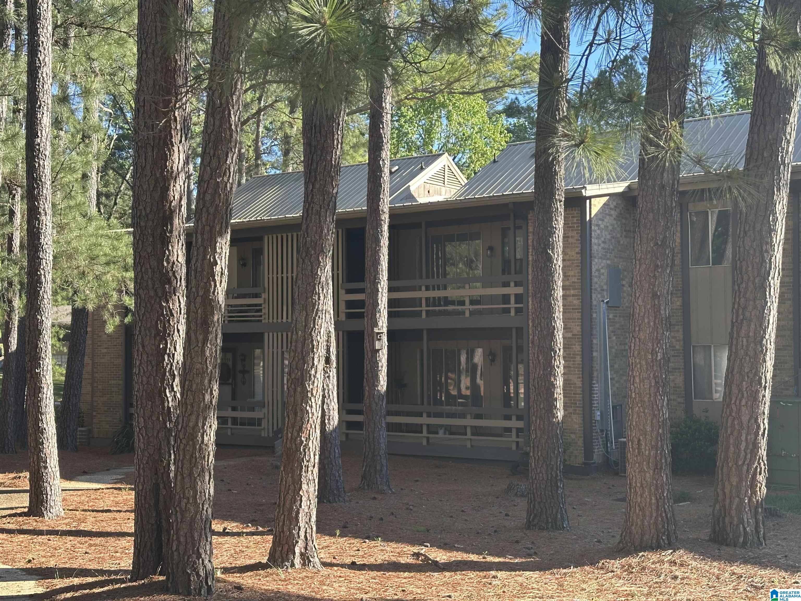 3101 LORNA ROAD 1723