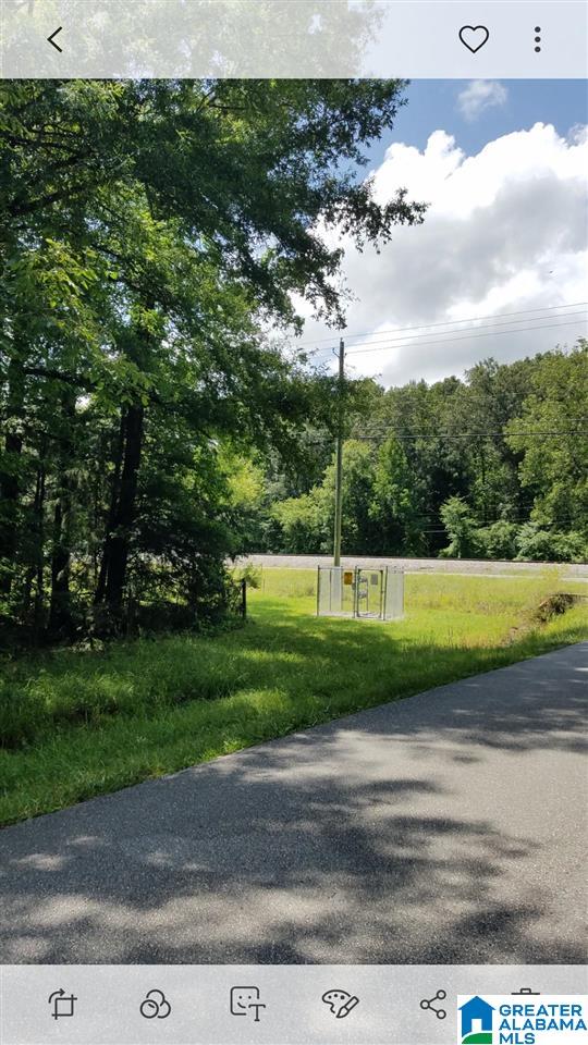 Photo 1 of 3 — 0 HIGHWAY 25, CALERA, AL 35040