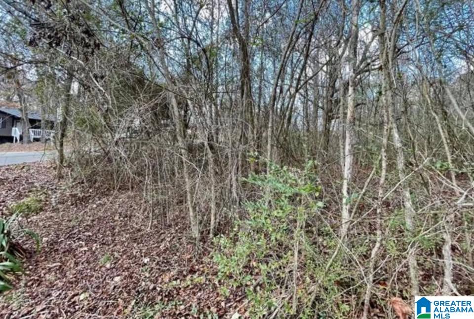 5869 JANET DRIVE 5869