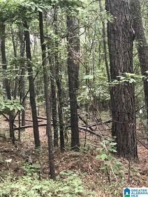 50 ALPINE RANCH RD, ALPINE, AL 35014 - Image 7e2080977c951654dbfc5ad83ffb62df/443316056