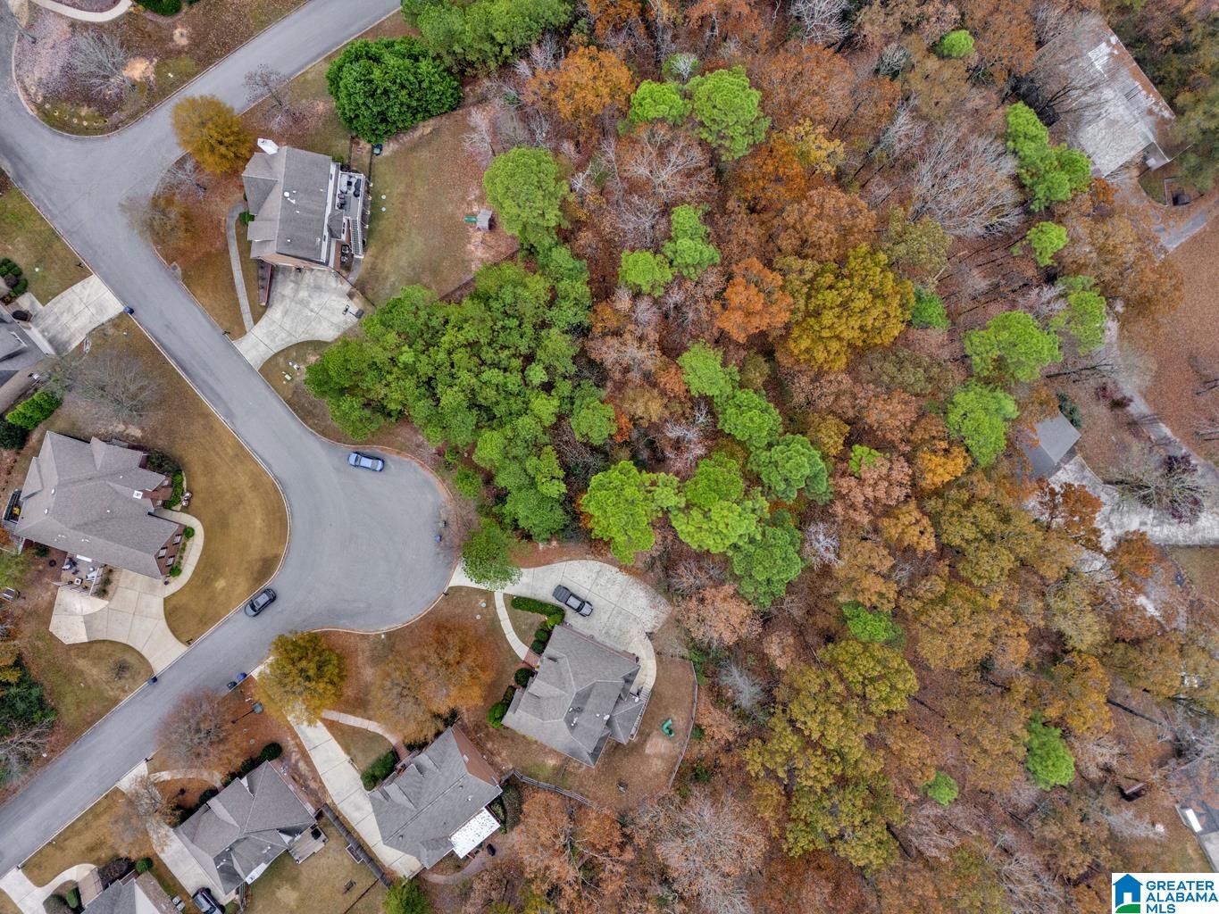 211 MOUNTAIN LAKE TRAIL 5