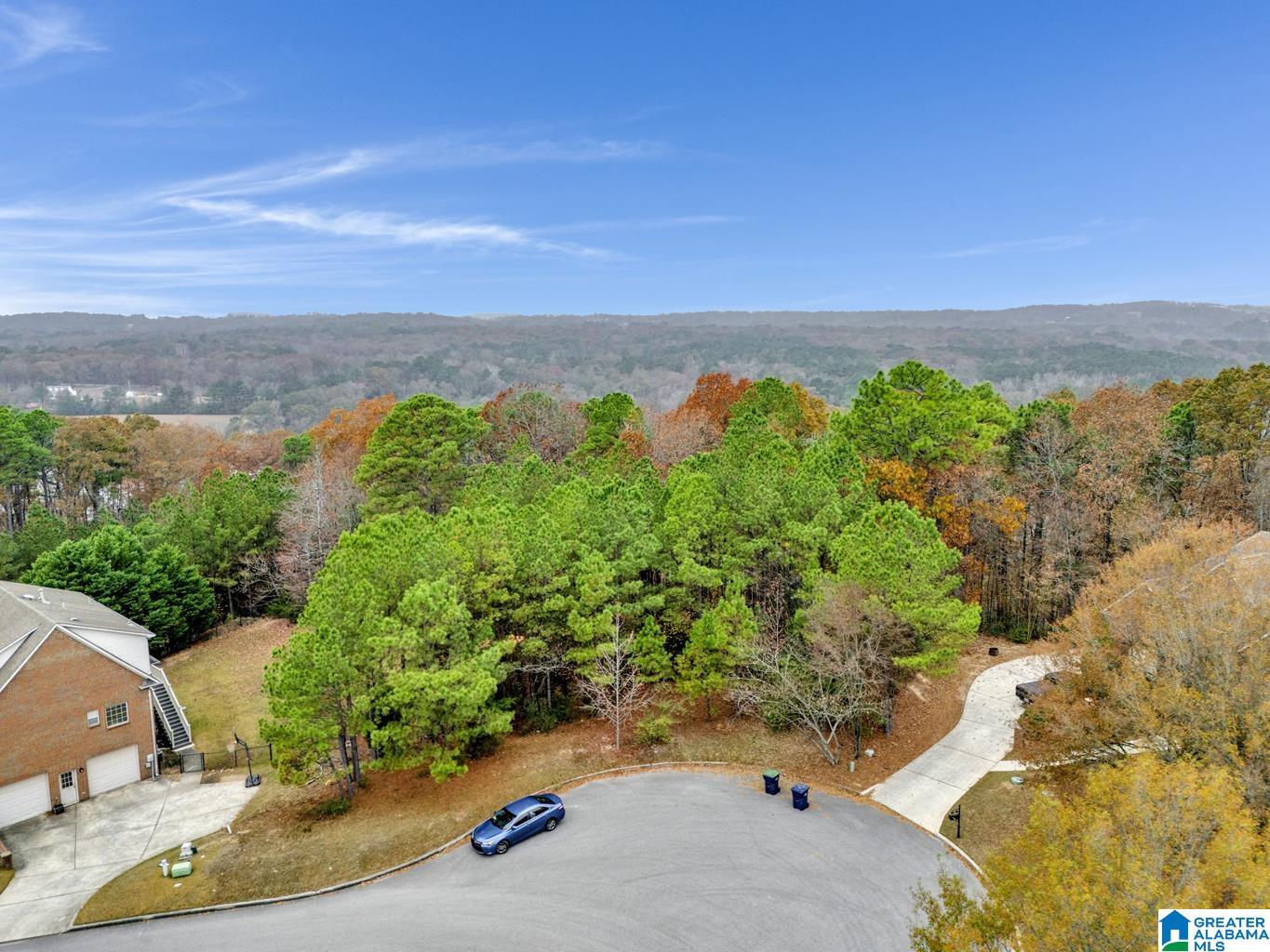 211 MOUNTAIN LAKE TRAIL 5