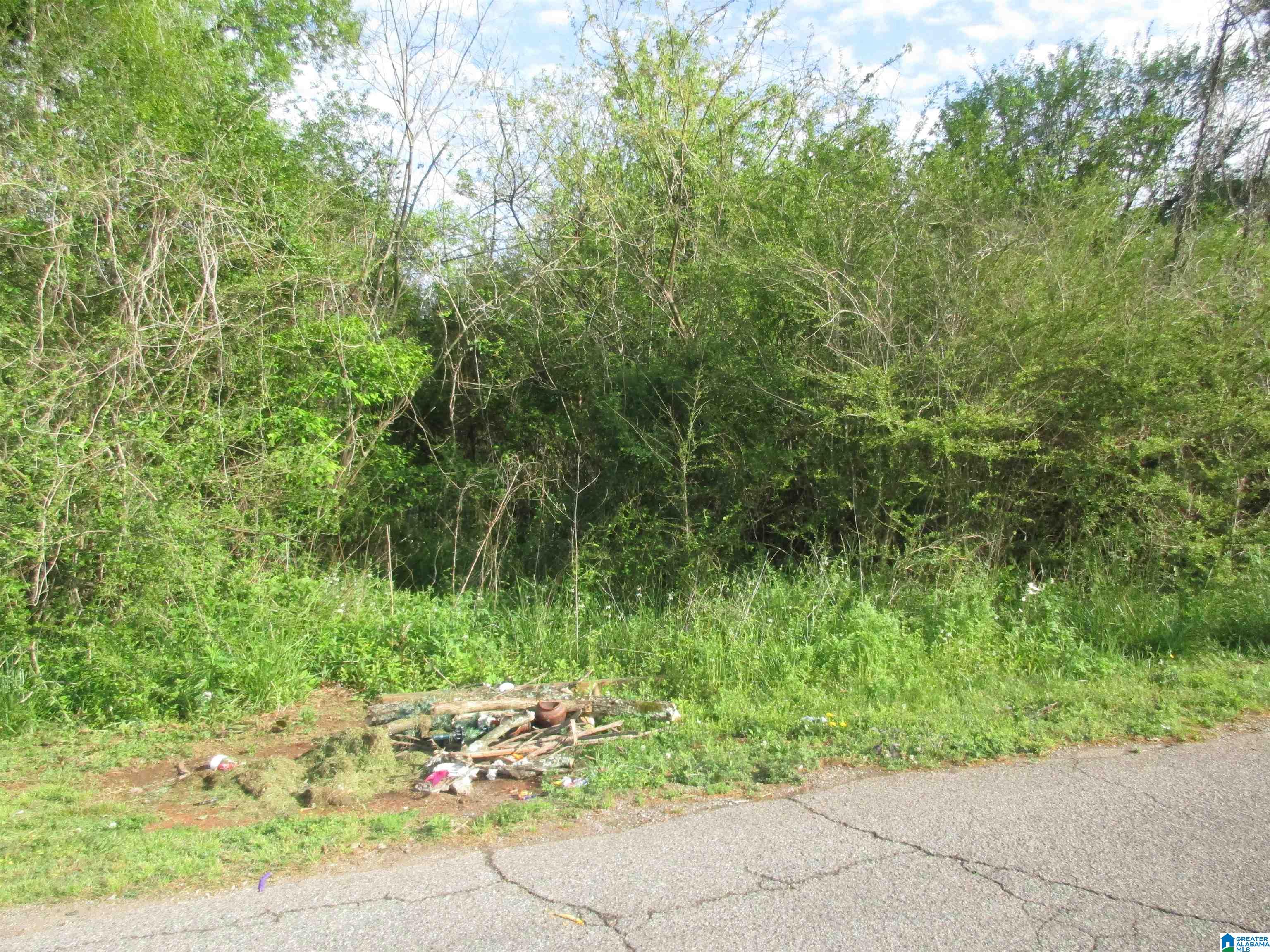 Photo 1 of 1 — 408 RAIMUND AVENUE 6, BIRMINGHAM, AL 35020