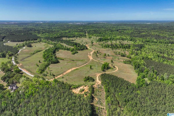 489 4 WING LAKE RD, ALABASTER, AL 35007 - Image 7fc56b8aa86a9ff4eb51c8f503dfffd9/1866124400