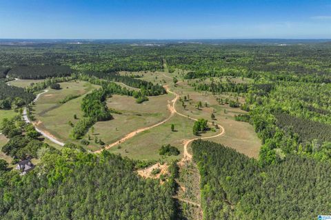 489 FOURWING LAKE ROAD 0 ALABASTER AL 35007