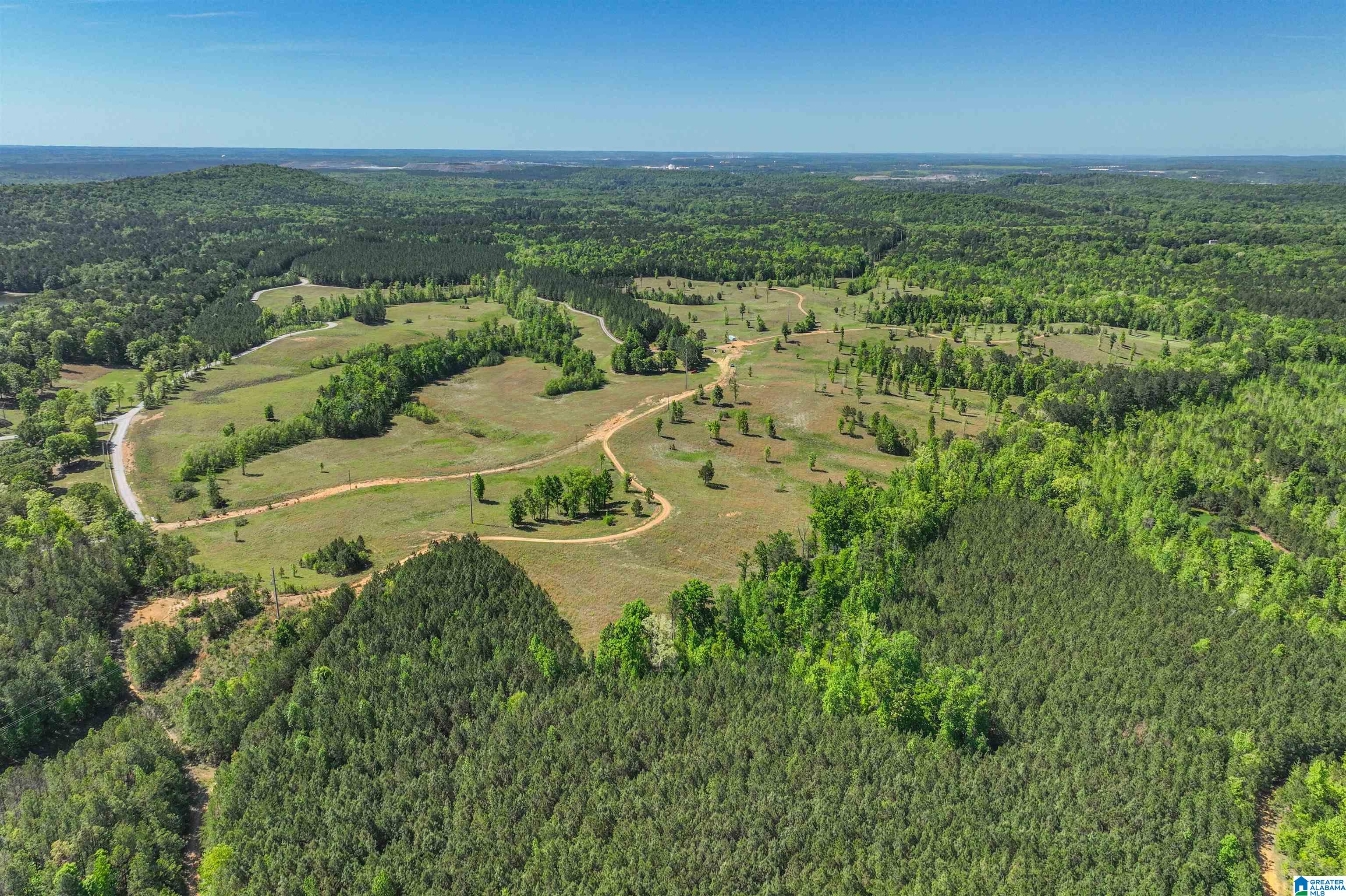 489 FOURWING LAKE ROAD 0