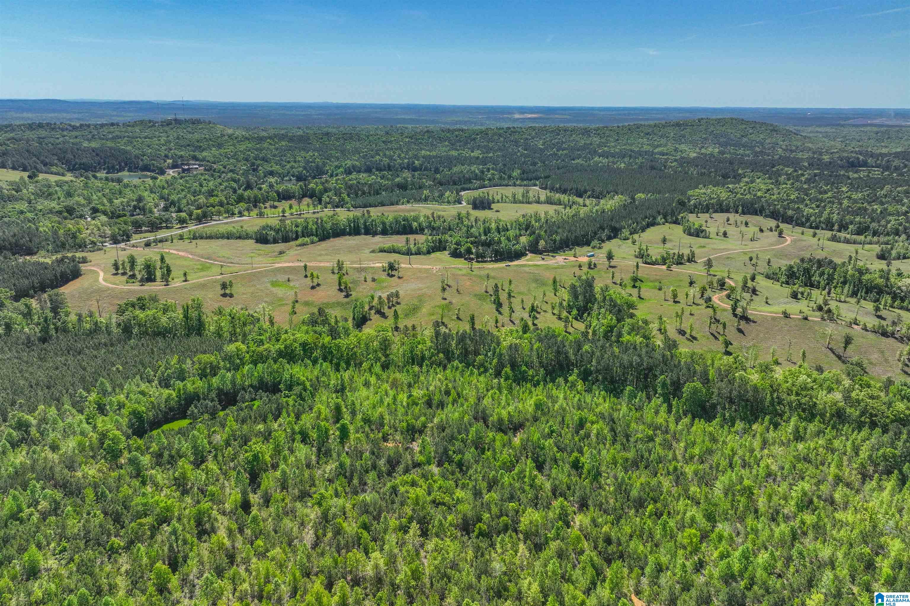 489 FOURWING LAKE ROAD 0