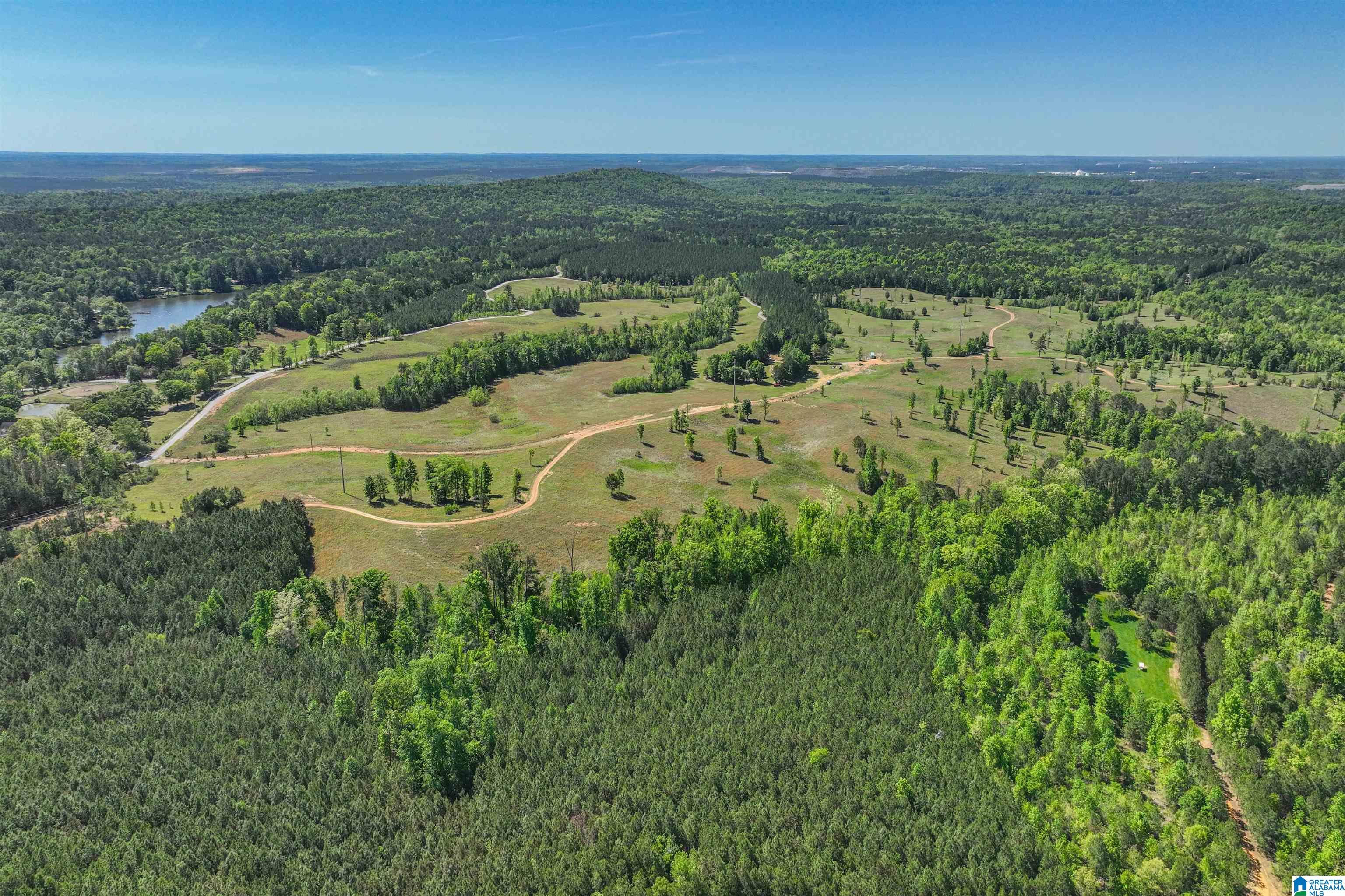 489 FOURWING LAKE ROAD 0