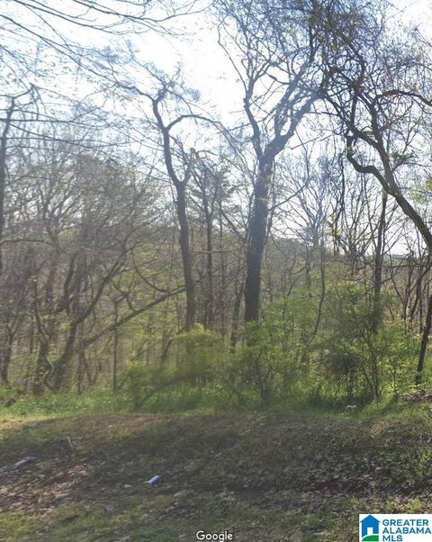 4601 SILVER LAKE ROAD 0 PINSON AL 35126