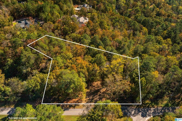 5531 OVERTON RD # 000, IRONDALE, AL 35210 - Image 80c191e737e56f42c3ffbc2ce883fa99/1593227384