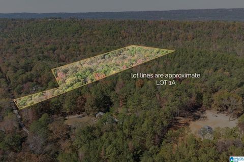 284 NICHOLS ROAD 1A CHELSEA AL 35043