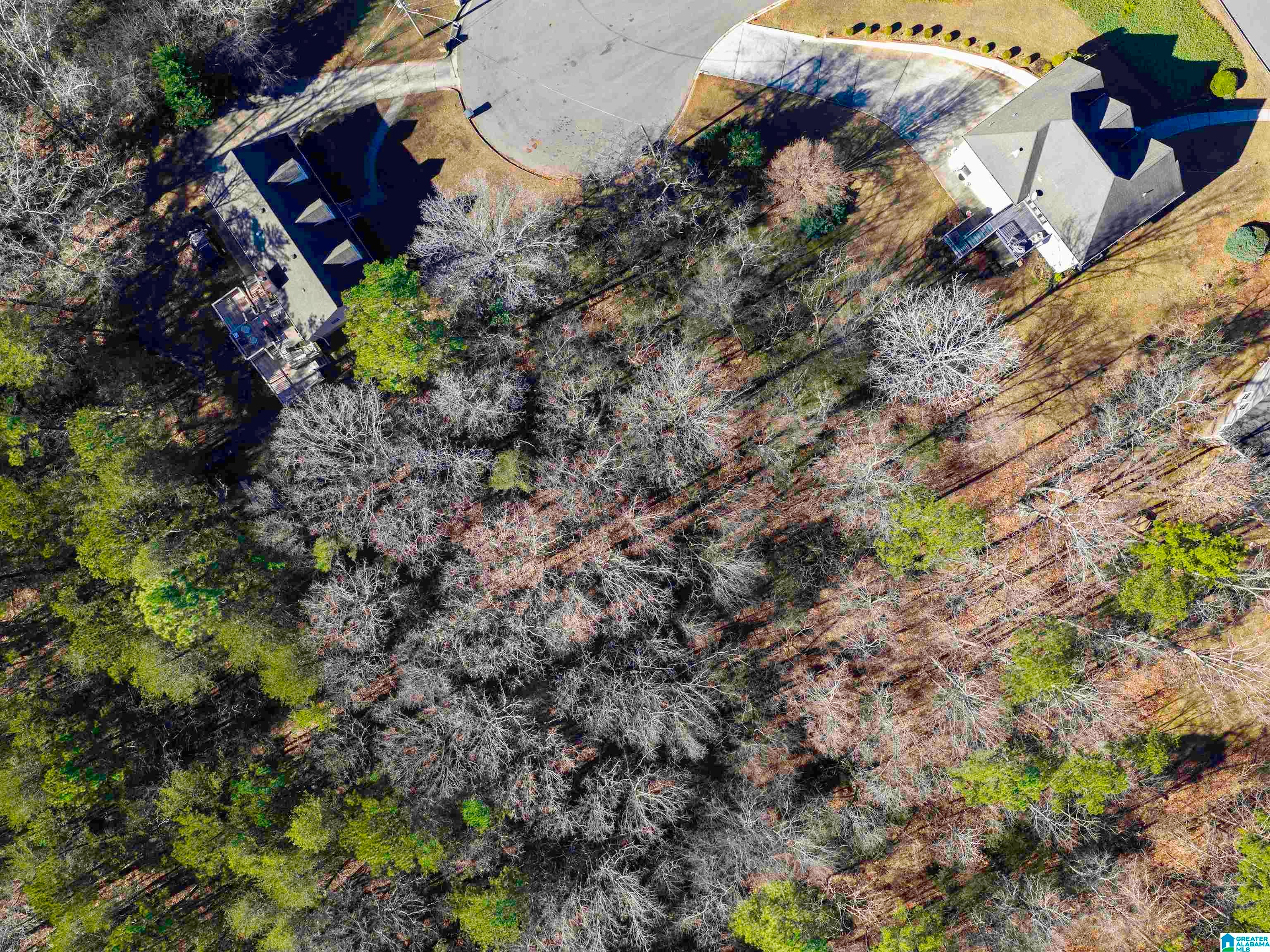 1005 TIMBERLINE TRAIL 17